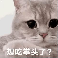 搞笑图集一个宿舍42个学生,网友养猪都不敢这么养啊