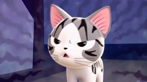 甜甜私房猫第三季小奇的玩具都不见了,小奇只能玩纸巾了