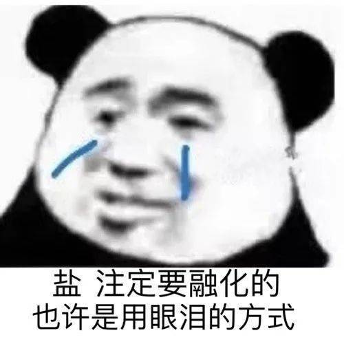 今日份表情包
