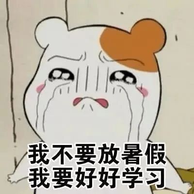 英国网红整容式追星防弹少年团,还自制韩国旗韩国网友气疯了
