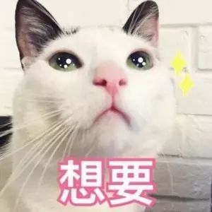日常吸吸猫表情包