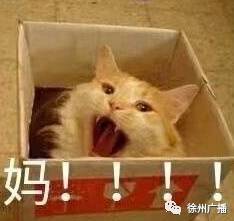 套路拜拜双十一到底什么该买全是干货