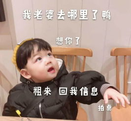 表白舔狗表情包看过那么多的居居,还是你最可爱