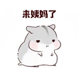 仓鼠表情包我生气啦,哄不好的那种