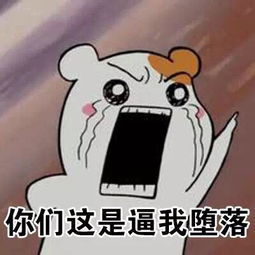 仓鼠管家爱学习表情包我不要放暑假,我要好好学习