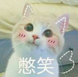 你有精神病吗医学生日常对话笑疯网友