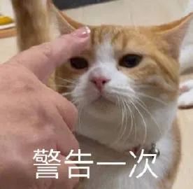 表情包我想你了,马上给我打电话