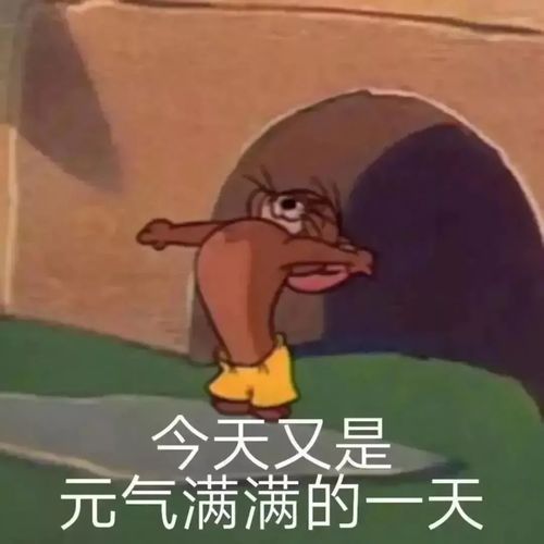 6.12什锦表情包
