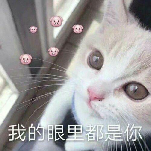 莫文蔚,汤唯,甚至张国荣都是英国大学毕业,那么美国大学有排名,英国应该大学如何选择呢
