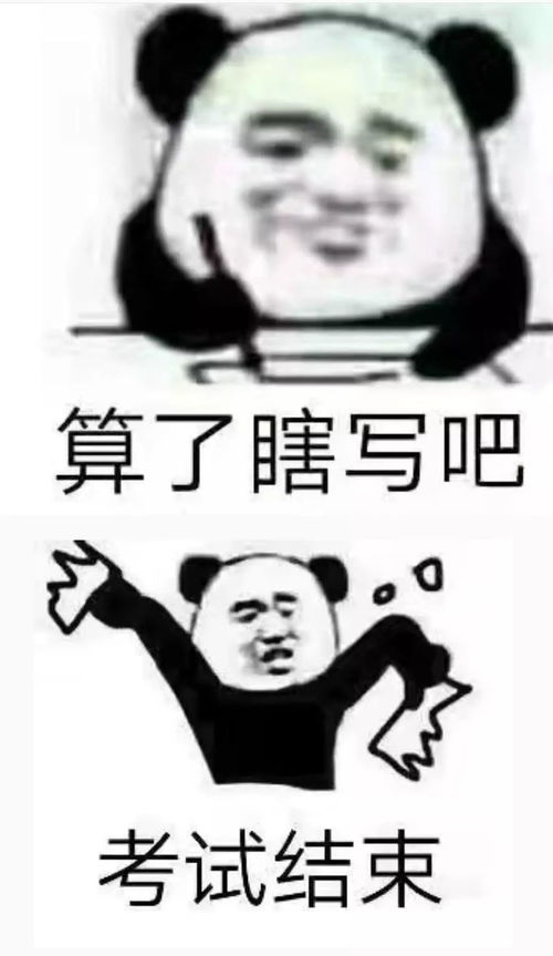 表情包丨算我求求你们的,早点睡觉好不好