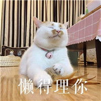 虚假情谊系列搞笑表情包为虚假的友谊干杯表情包