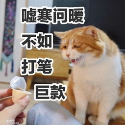 你们都用什么表情发微信红包