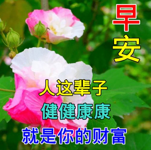 10月16日最漂亮早上好动态表情图片大全,秋天早安问候美图大全
