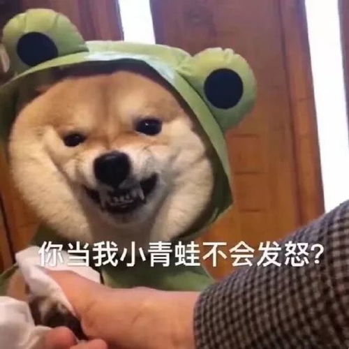 我一天发一条朋友圈,却被男性朋友说恶心哈哈哈扎心了
