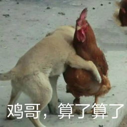 敌首主宰天舰斗,不锁定专一目标怎么行