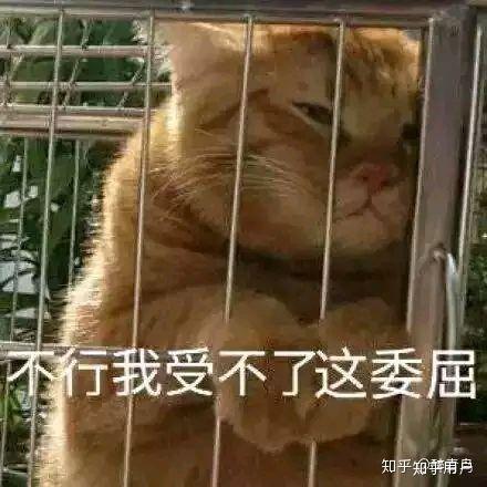 浣碧那么个鬼样子,为什么甄嬛还要对她那么好