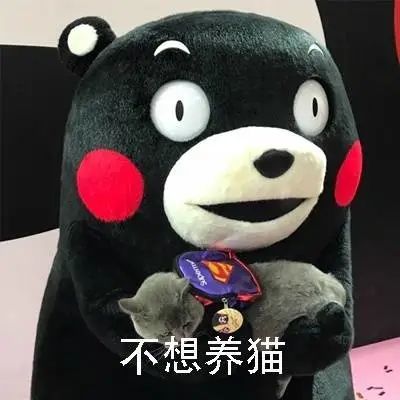 表情包我只想养你