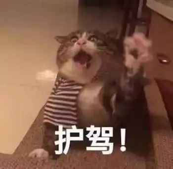 今日神段丨不怕学渣交白卷,就怕他们放飞自我的叛逆答案哈哈嗝