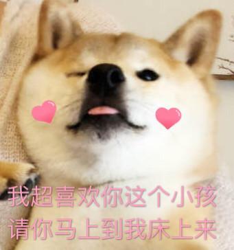 撩汉表情包我心爱的狗东西在吗