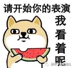 成长过程里的那些妥协