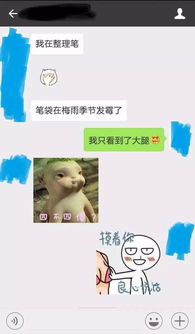 聊天记录微信这样聊才叫撩妹,套路好深