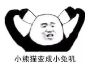 popify书访人究竟为什么会爱上另一个人
