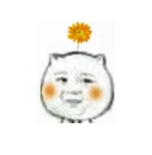 有哪些表情包可以当情头