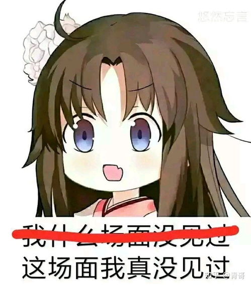 谁知道天猫精灵都有哪些功能