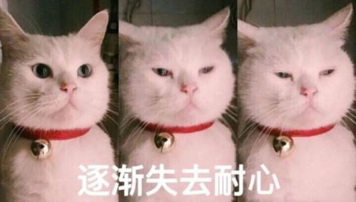 不够聪明千万别碰这几大星座,根本降不住