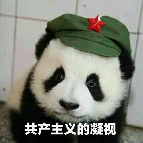 实习结束送什么礼物给老板和同事们呢,小仙女门有什么好主意吗