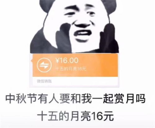 中秋节有人要和我一起赏月吗表情包下载抖音中秋节有人要和我一起赏月吗表情包图片无水印免费下载v1.0114手机乐园