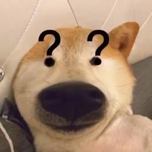 千万别用广角给狗子拍照...否则会笑到肚子疼哒