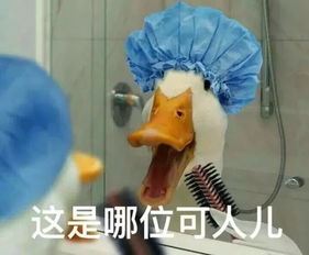 锤爷大料
