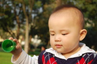 严肃认真滴表情