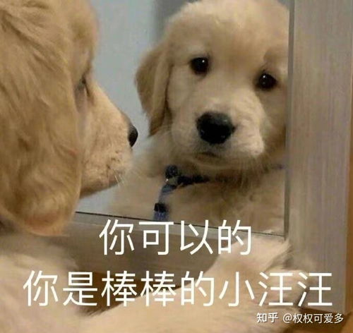我是如何从普通二本院校逆袭到211的南昌大学新闻与传播专业考研经验帖