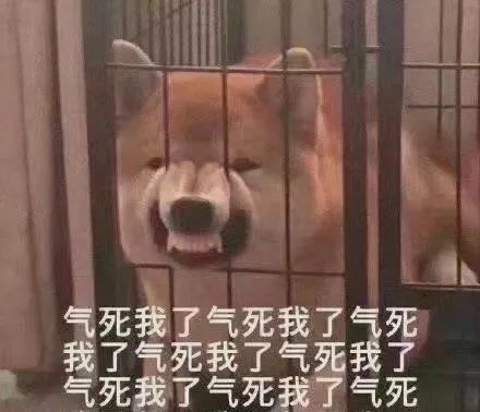 对不起,三十而已,我要弃剧了