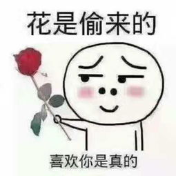 心妹视频直播全集心妹资料大全yy官方