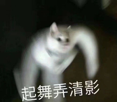 1收藏夹