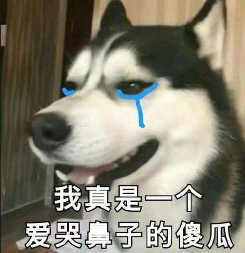 有本事开门啊表情包打开门