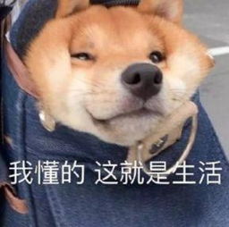 青岛不在岛上,枣庄也不产枣你对山东的误解有多深