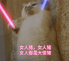 抖音表情包动图荧光棒打call,荧光棒的猫咪