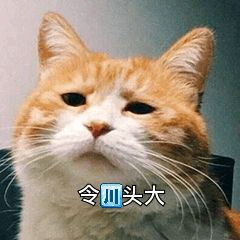 被文名耽误的好文沙雕向真香系列8.0表情包