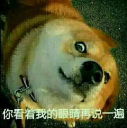 各种表情包,拿上跟别人斗图稳赢啊