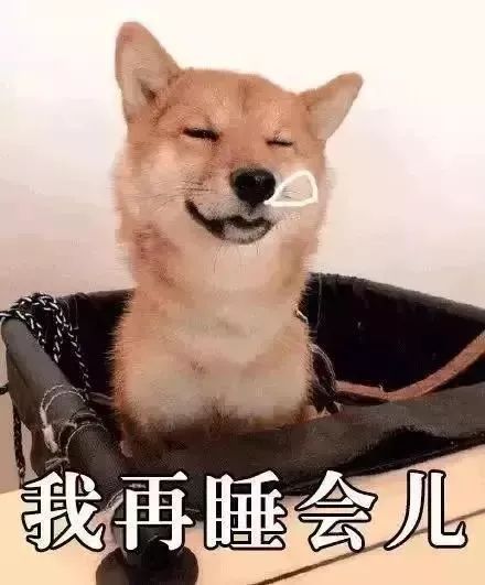 一场由全体高中生出演的2019第一部灾难片,正在全国火热上映