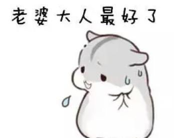 哄老婆表情包老婆大人对不起好喜欢老婆我老婆超级可爱
