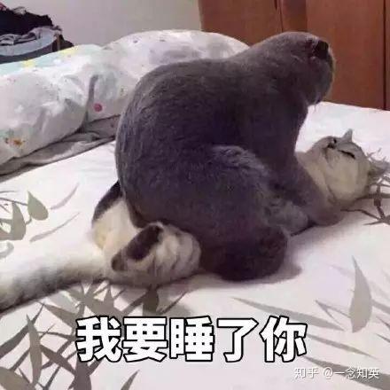 已经18岁,以自己喜欢的方式渡过该渡的劫
