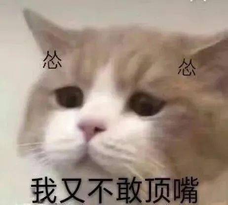 抖音最火表情包合集,每个都很赞