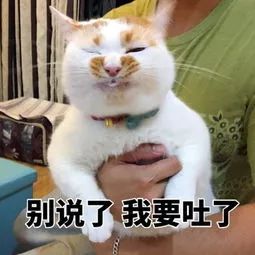 恶心在淄博汉巴味德吃饭发现只蟑螂