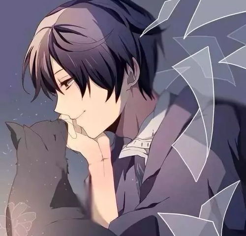 动漫男头请别从我的表情猜测我的内心,好吗