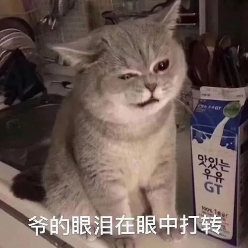 网上确认失败最常见的27个原因,这个问题最容易出现错误
